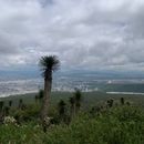 Senderismo en parque El Cimatario's picture