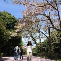 Fotos de psyche Chen