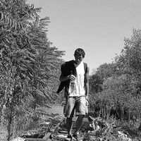 Armindo Soares's Photo