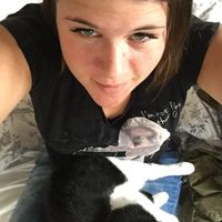 Eva Breskvar的照片