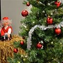  Jul(Christmas)的照片