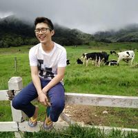 Derrick Yee的照片