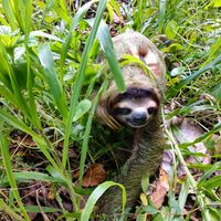 Alberto Alberto的照片