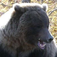 Marin Villevieille的照片