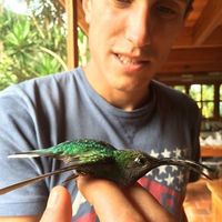 Tommaso Malfa的照片