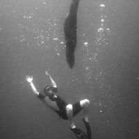 Fotos de Philip Sherrill