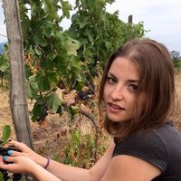 Anastasia  Antonova's Photo