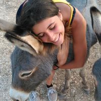 Alice Balsamini's Photo