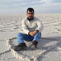 Alireza Rayat's Photo