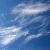 Nemanja Katic's Photo