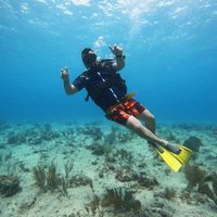 Jhonattan Wilches's Photo