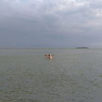 Fotos de Amelia Coggon