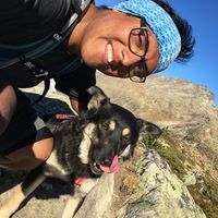 Dominik Heynen的照片