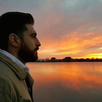 Le foto di Bogdan Protopopescu