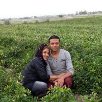 Фотографии пользователя Majid & fathieh