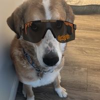 Roland Carter的照片