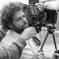 Le foto di Alan Stivelman