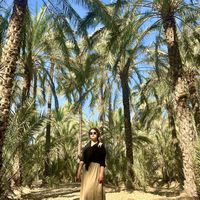 mahsa yousefi's Photo