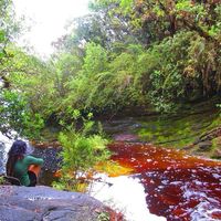 Paz Santibañez Bustos的照片