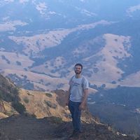 Max Rabinovich的照片