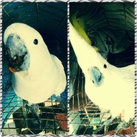 Nglodech Ignacio的照片