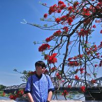 Фотографии пользователя Hugo Mai