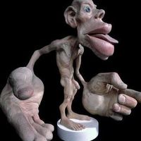 Photos de Mucahit Taş