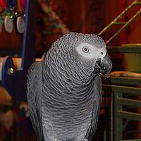 Melanie Drake's Photo