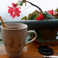 chiến đinh's Photo