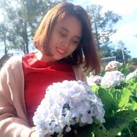 Hong Loi Nguyen的照片