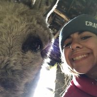 Keren Rousso's Photo