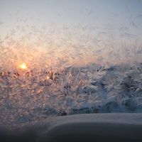 Elena Ivanovna's Photo