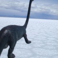 Photos de Tatiana Cerretani