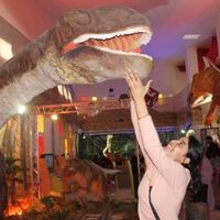 Ghufrane Ben Hamed的照片