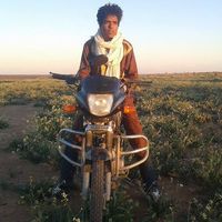 Mostafa Twarig's Photo