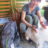 Belinda Zong's Photo