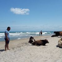 Orhan Emre Konuralp的照片