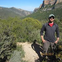 Matt Pomerantz's Photo