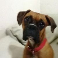 Lautaro Rosales的照片