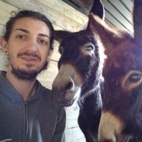 Daniele Bortolussi's Photo