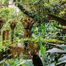 Viaje Veracruz a Xilitla, San Luis Potosi 's picture