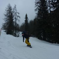 David Wartenberg的照片