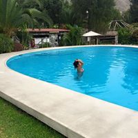 Rossmery Barrenechea的照片