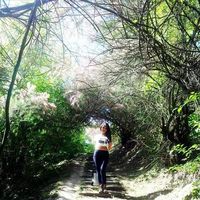 Andrea Herrera's Photo