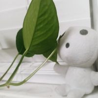 Brianna Gilliam's Photo