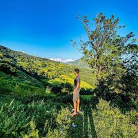 Muhammed Shabeer的照片