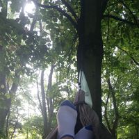 Dries Thierens's Photo