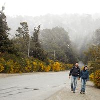 Paz y Marcos RH的照片