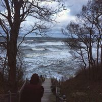 Le foto di Roman Artemenko