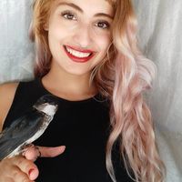 Zdjęcia użytkownika Sonia Ballestero